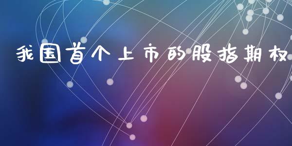 我国首个上市的股指期权_https://www.fcdydaikuan.com_德指期货直播_第1张
