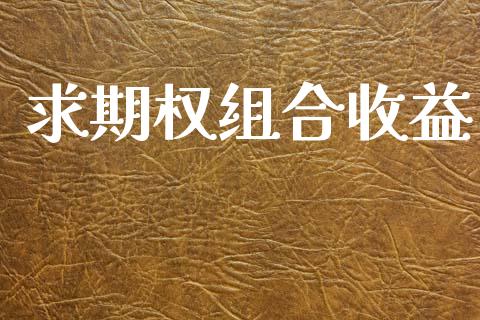 求期权组合收益_https://www.fcdydaikuan.com_恒指期货直播_第1张