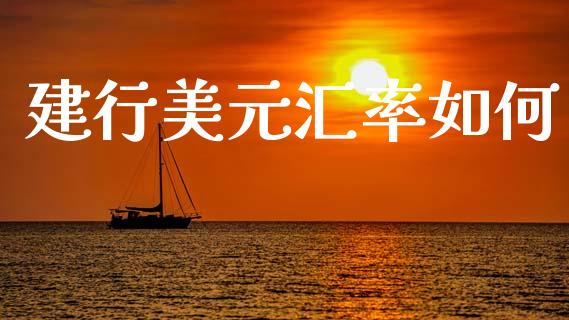 建行美元汇率如何_https://www.fcdydaikuan.com_德指期货直播_第1张