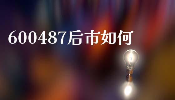 600487后市如何_https://www.fcdydaikuan.com_黄金期货直播_第1张