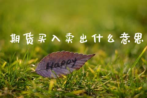 期货买入卖出什么意思_https://www.fcdydaikuan.com_恒指期货直播_第1张