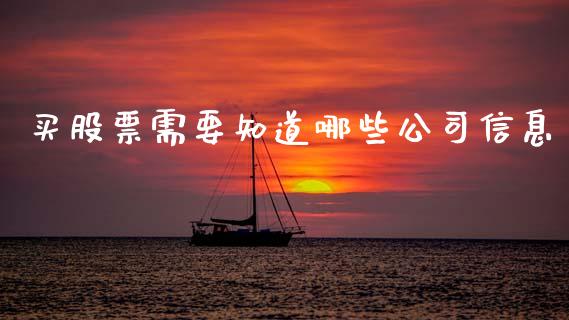 买股票需要知道哪些公司信息_https://www.fcdydaikuan.com_恒指期货直播_第1张