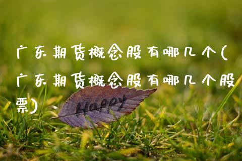 广东期货概念股有哪几个(广东期货概念股有哪几个股票)_https://www.fcdydaikuan.com_黄金期货直播_第1张