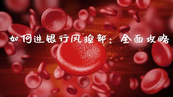 如何进银行风控部:全面攻略_恒生指数直播室_第1张_恒生指数直播室_恒指期货直播_德指期货直播_黄金期货直播 如何进银行风控部:全面攻略_https://www.fcdydaikuan.com_恒生指数直播室_第1张