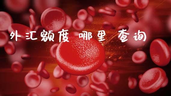 外汇额度 哪里 查询_https://www.fcdydaikuan.com_恒指期货直播_第1张