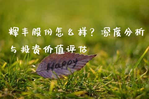 辉丰股份怎么样？深度分析与投资价值评估_https://www.fcdydaikuan.com_恒指期货直播_第1张