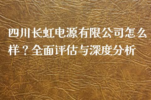 四川长虹电源有限公司怎么样？全面评估与深度分析_https://www.fcdydaikuan.com_德指期货直播_第1张