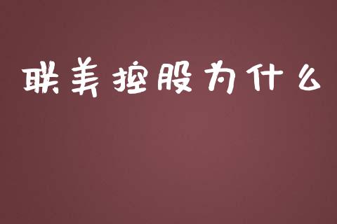 联美控股为什么_https://www.fcdydaikuan.com_恒指期货直播_第1张