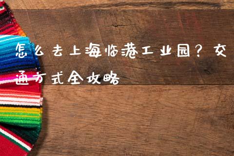 怎么去上海临港工业园？交通方式全攻略_https://www.fcdydaikuan.com_黄金期货直播_第1张