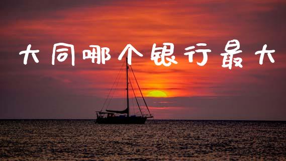 大同哪个银行最大_https://www.fcdydaikuan.com_德指期货直播_第1张