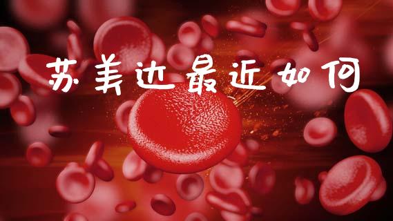 苏美达最近如何_https://www.fcdydaikuan.com_恒指期货直播_第1张