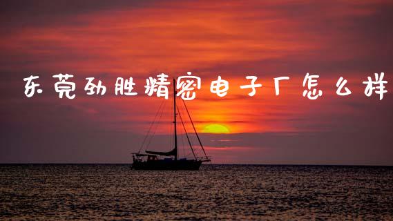 东莞劲胜精密电子厂怎么样_https://www.fcdydaikuan.com_恒指期货直播_第1张