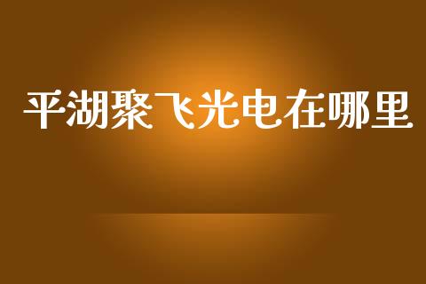 平湖聚飞光电在哪里_https://www.fcdydaikuan.com_恒指期货直播_第1张