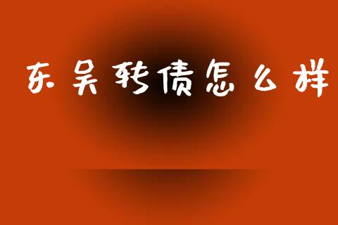 东吴转债怎么样_https://www.fcdydaikuan.com_黄金期货直播_第1张