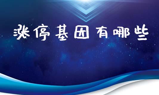 涨停基因有哪些_https://www.fcdydaikuan.com_恒指期货直播_第1张