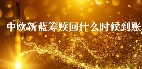 中欧新蓝筹赎回什么时候到账_https://www.fcdydaikuan.com_德指期货直播_第1张