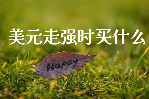 美元走强时买什么_https://www.fcdydaikuan.com_黄金期货直播_第1张