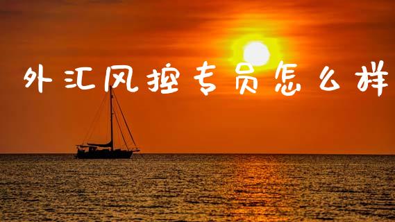 外汇风控专员怎么样_https://www.fcdydaikuan.com_黄金期货直播_第1张