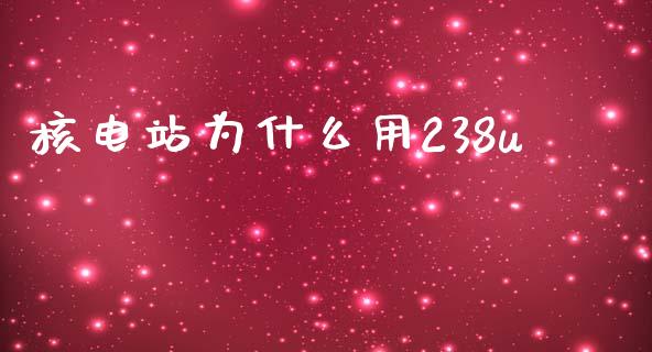 核电站为什么用238u_https://www.fcdydaikuan.com_黄金期货直播_第1张