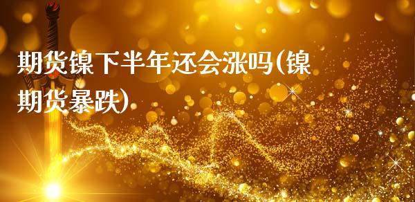 期货镍下半年还会涨吗(镍期货暴跌)_https://www.fcdydaikuan.com_黄金期货直播_第1张