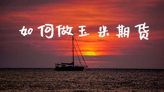 如何做玉米期货_https://www.fcdydaikuan.com_德指期货直播_第1张