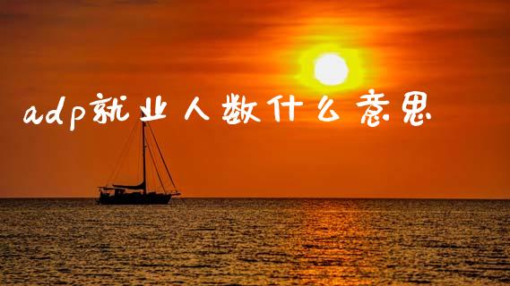 adp就业人数什么意思_https://www.fcdydaikuan.com_德指期货直播_第1张