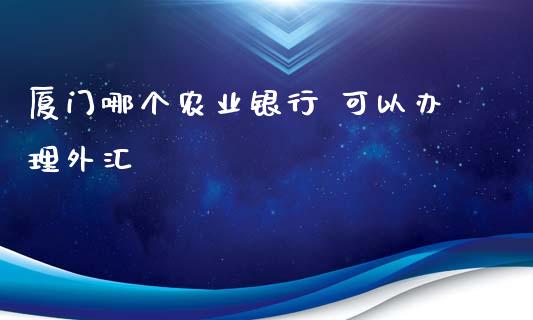 厦门哪个农业银行 可以办理外汇_https://www.fcdydaikuan.com_恒指期货直播_第1张