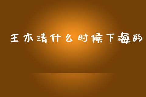 王木清什么时候下海的_https://www.fcdydaikuan.com_黄金期货直播_第1张