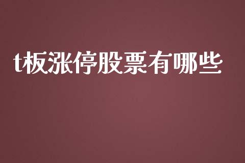 t板涨停股票有哪些_https://www.fcdydaikuan.com_德指期货直播_第1张