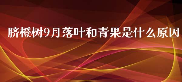 脐橙树9月落叶和青果是什么原因_https://www.fcdydaikuan.com_恒指期货直播_第1张