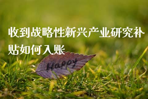 收到战略性新兴产业研究补贴如何入账_https://www.fcdydaikuan.com_黄金期货直播_第1张