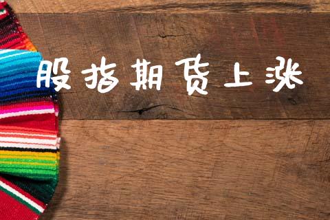 股指期货上涨_https://www.fcdydaikuan.com_黄金期货直播_第1张