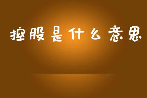 控股是什么意思_https://www.fcdydaikuan.com_德指期货直播_第1张
