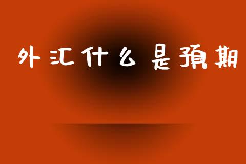 外汇什么是预期_https://www.fcdydaikuan.com_恒指期货直播_第1张