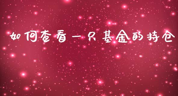 如何查看一只基金的持仓_https://www.fcdydaikuan.com_恒生指数直播室_第1张
