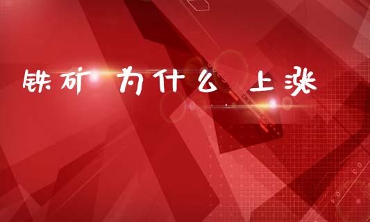 铁矿 为什么 上涨_https://www.fcdydaikuan.com_恒生指数直播室_第1张