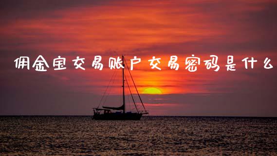 佣金宝交易账户交易密码是什么_https://www.fcdydaikuan.com_恒生指数直播室_第1张