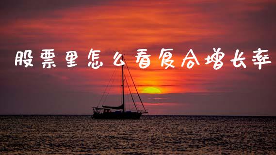 股票里怎么看复合增长率_https://www.fcdydaikuan.com_恒指期货直播_第1张