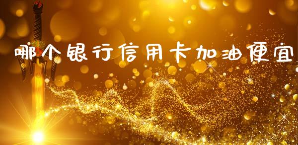 哪个银行信用卡加油便宜_https://www.fcdydaikuan.com_德指期货直播_第1张