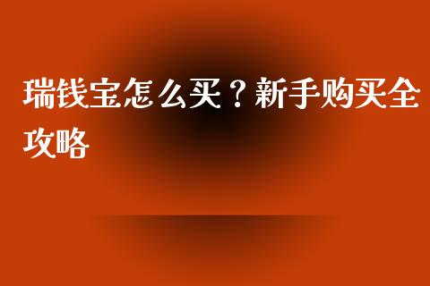 瑞钱宝怎么买？新手购买全攻略_https://www.fcdydaikuan.com_恒指期货直播_第1张