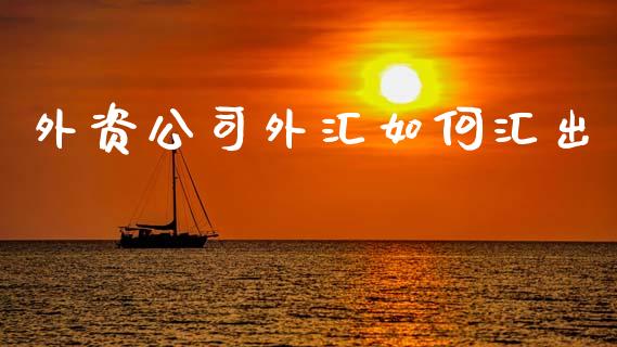 外资公司外汇如何汇出_https://www.fcdydaikuan.com_黄金期货直播_第1张