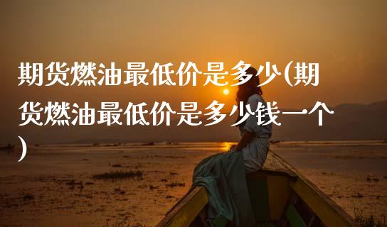 期货燃油最低价是多少(期货燃油最低价是多少钱一个)_https://www.fcdydaikuan.com_恒指期货直播_第1张