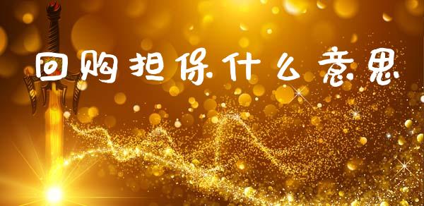 回购担保什么意思_https://www.fcdydaikuan.com_恒指期货直播_第1张