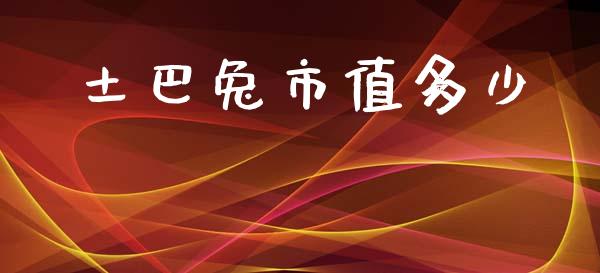 土巴兔市值多少_https://www.fcdydaikuan.com_德指期货直播_第1张