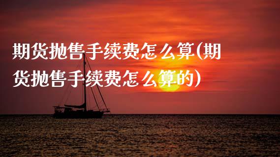 期货抛售手续费怎么算(期货抛售手续费怎么算的)_https://www.fcdydaikuan.com_德指期货直播_第1张