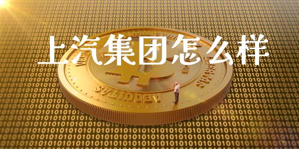上汽集团怎么样_https://www.fcdydaikuan.com_德指期货直播_第1张