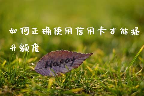 如何正确使用信用卡才能提升额度_https://www.fcdydaikuan.com_黄金期货直播_第1张