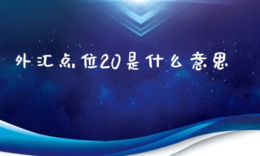 外汇点位20是什么意思_https://www.fcdydaikuan.com_德指期货直播_第1张