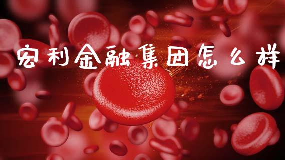 宏利金融集团怎么样_https://www.fcdydaikuan.com_恒指期货直播_第1张