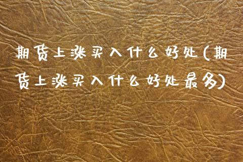 期货上涨买入什么好处(期货上涨买入什么好处最多)_https://www.fcdydaikuan.com_德指期货直播_第1张